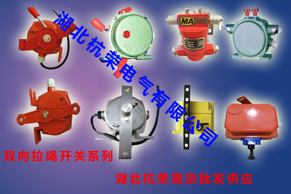 LSF-2-雙向拉繩開(kāi)關(guān)型號(hào)_雙向拉繩開(kāi)關(guān)輸送帶保護(hù)裝置